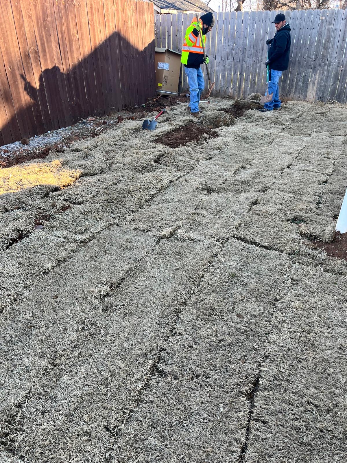 Crew laying sod in a newly graded backyard